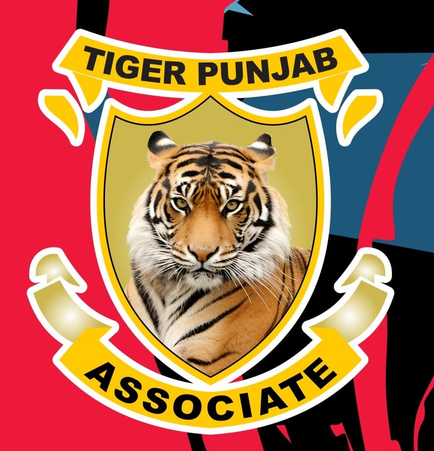 Tiger Punjab Associate