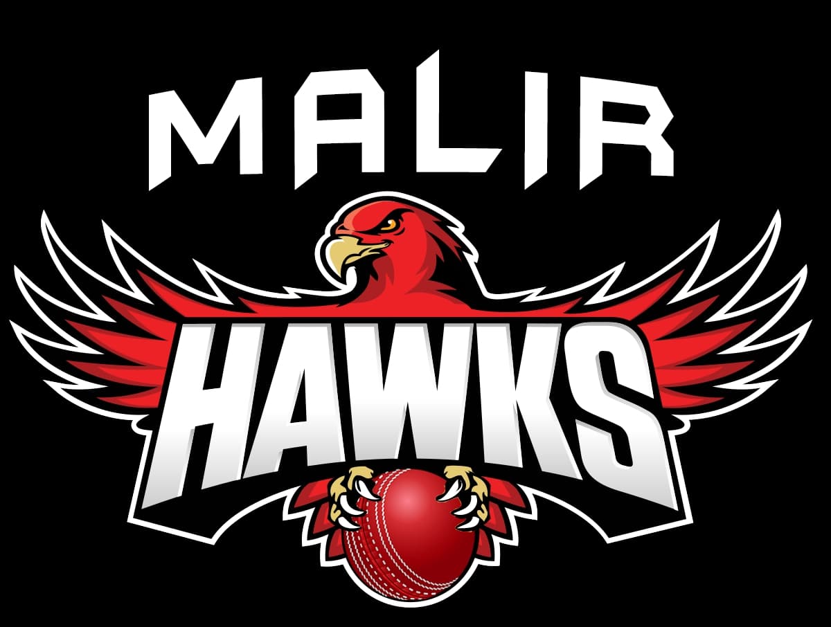 Malir Hawks team logo