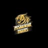 Peshawar Tigers