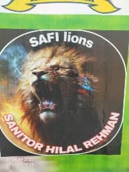 Safi lions team logo