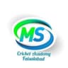 MS CRICKET ACADEMY