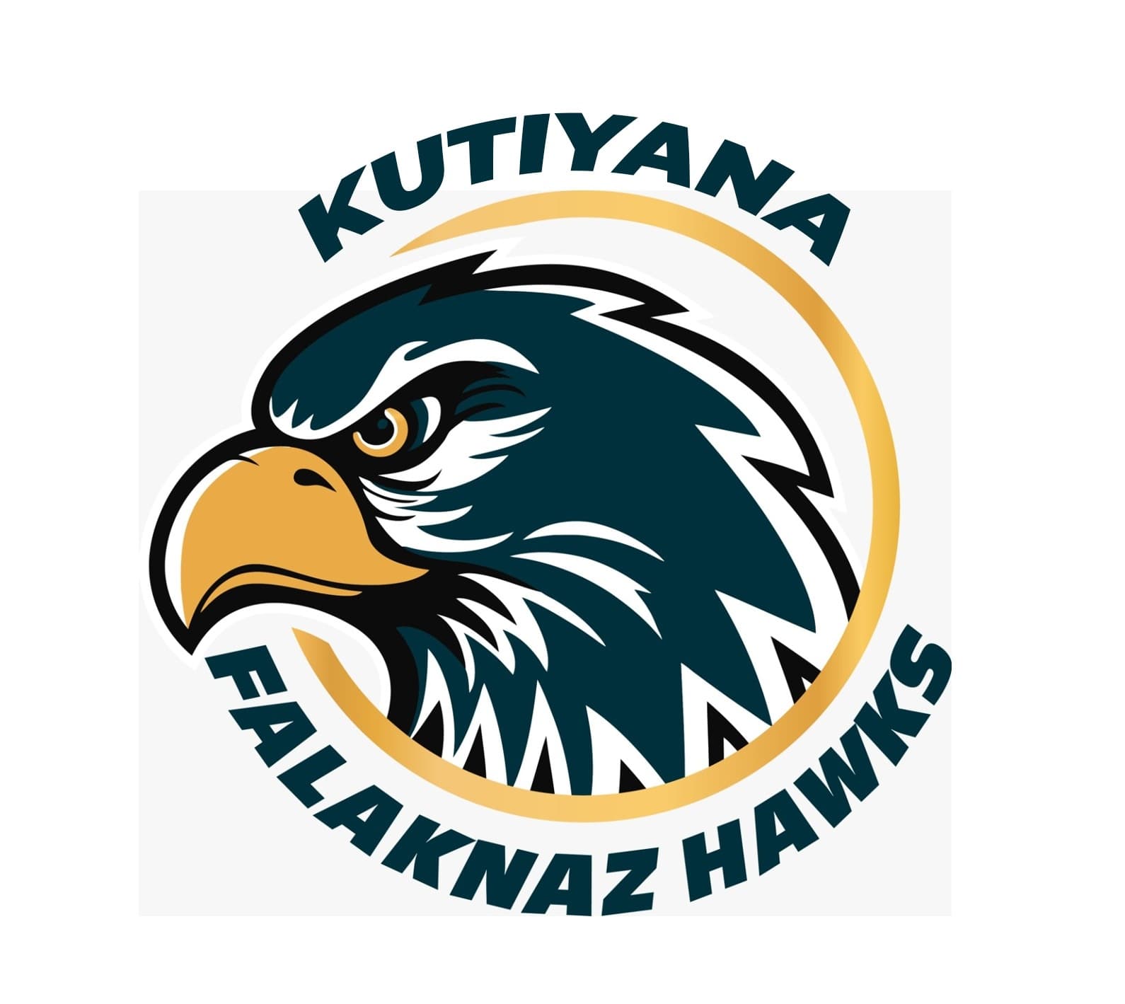 Falaknaz Kutiyana Hawks team logo
