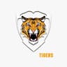 New Challi Tigers