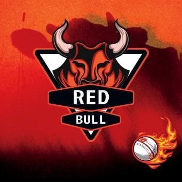 RED BULL team logo