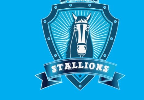Denim Stallions