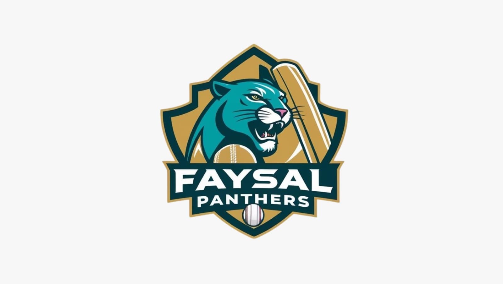Faysal Panthers team logo