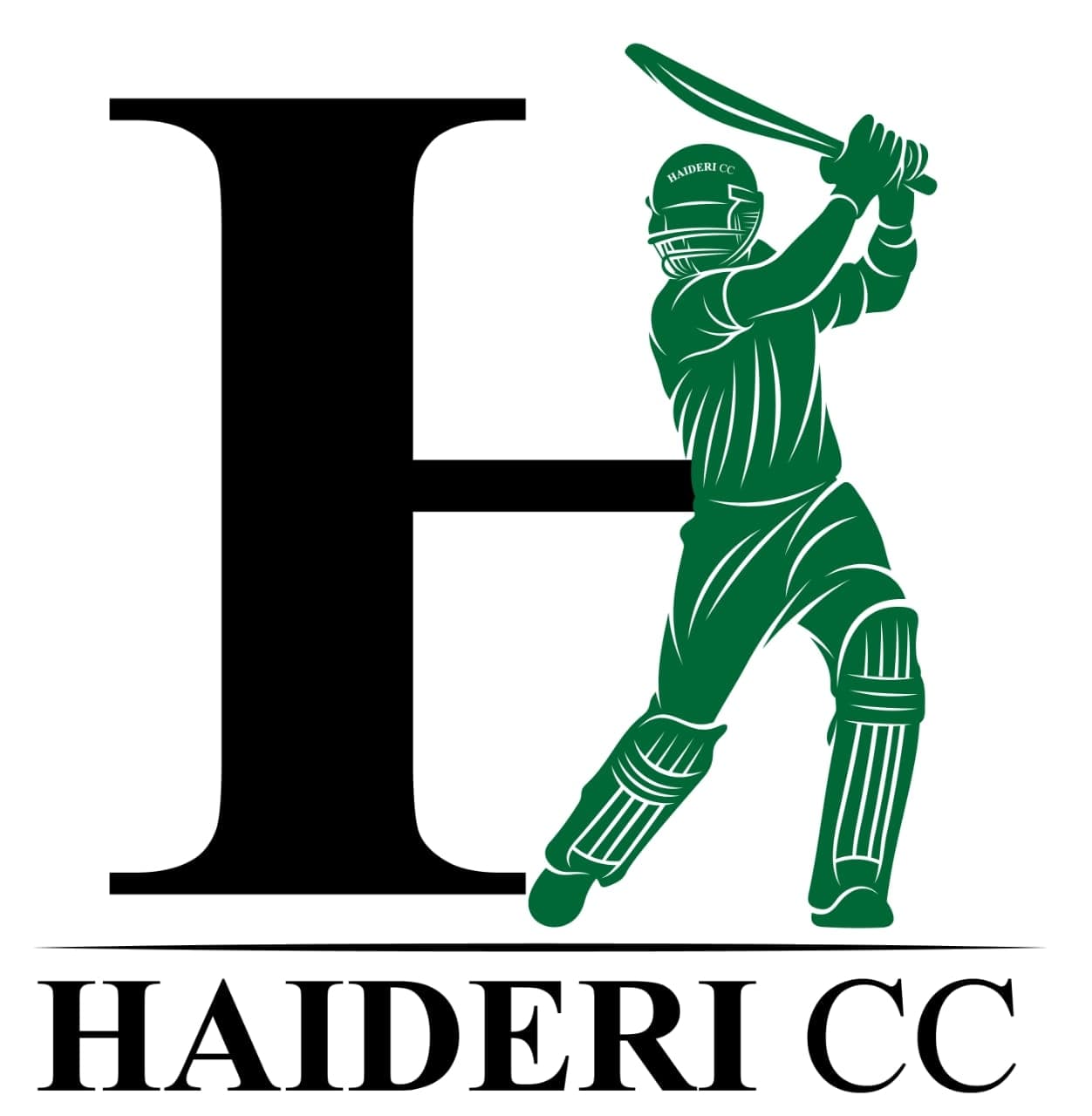 HAIDERI CRICKET CLUB team logo
