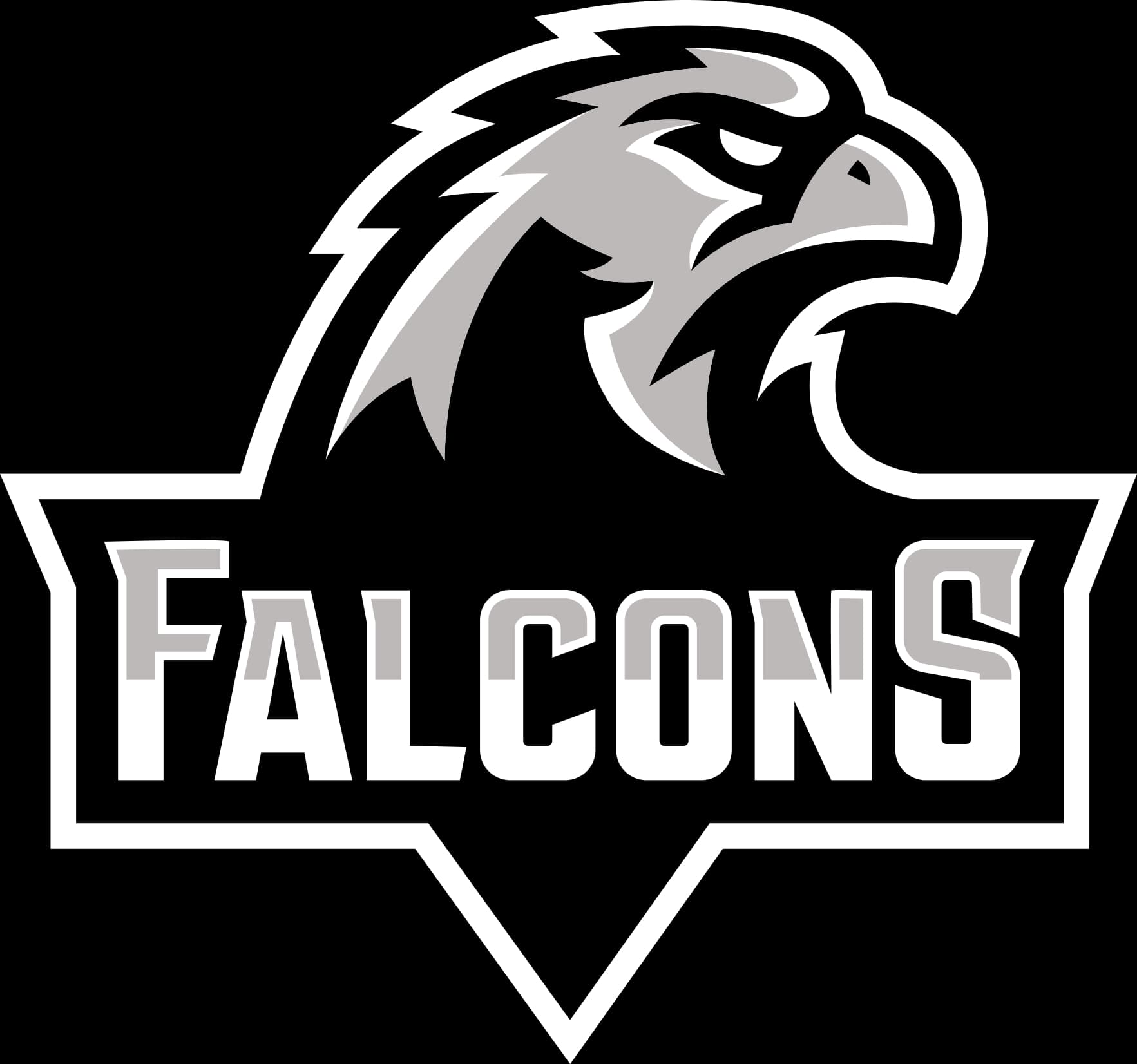 Falcons team logo