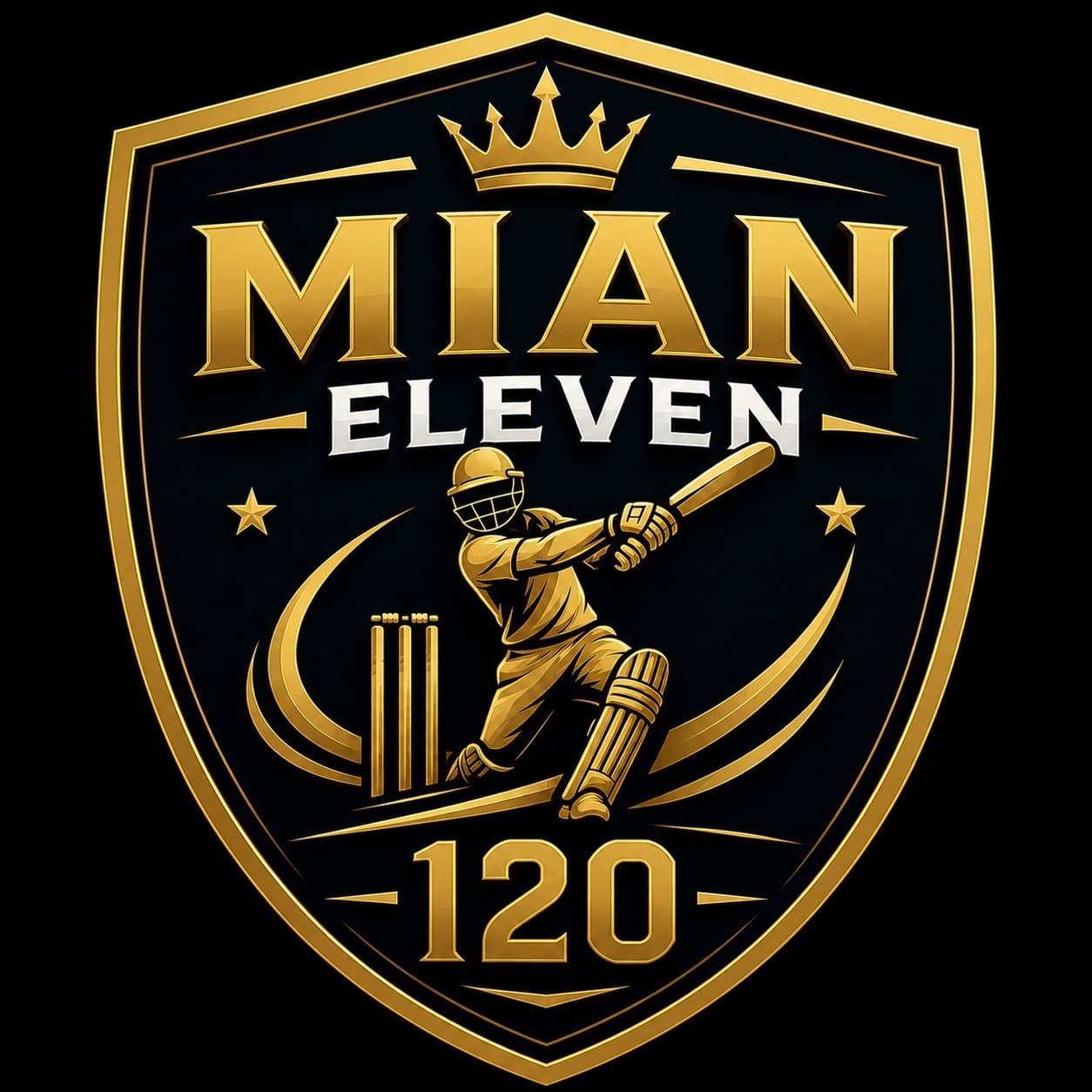 Mian Eleven 120 team logo