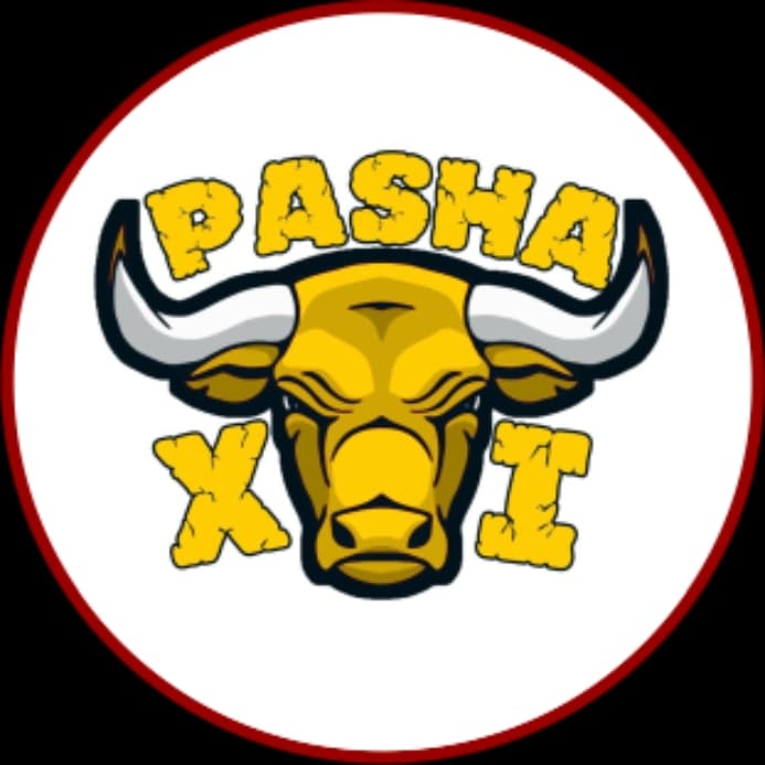 Pasha XI team logo