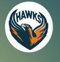 Mazdorabad Hawks team logo