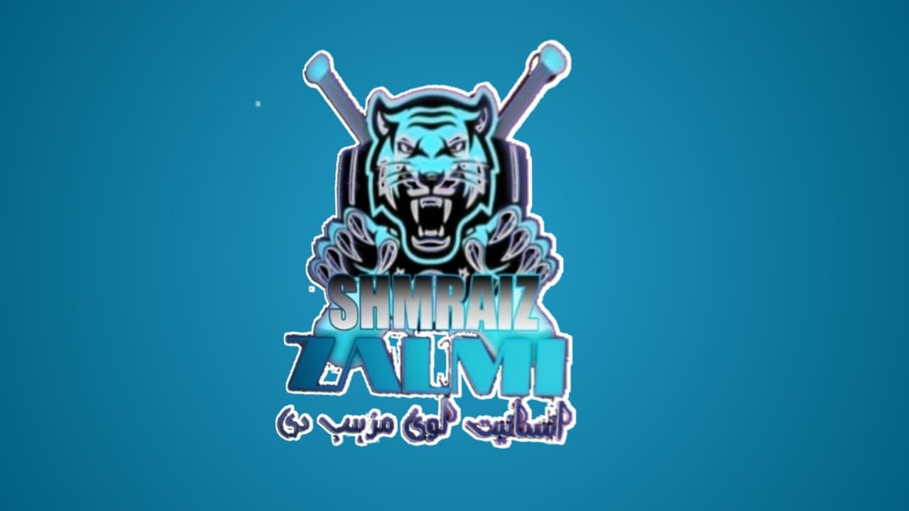 SHAMRAIZ ZALMI team logo