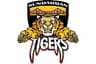 Sundarban Tigers