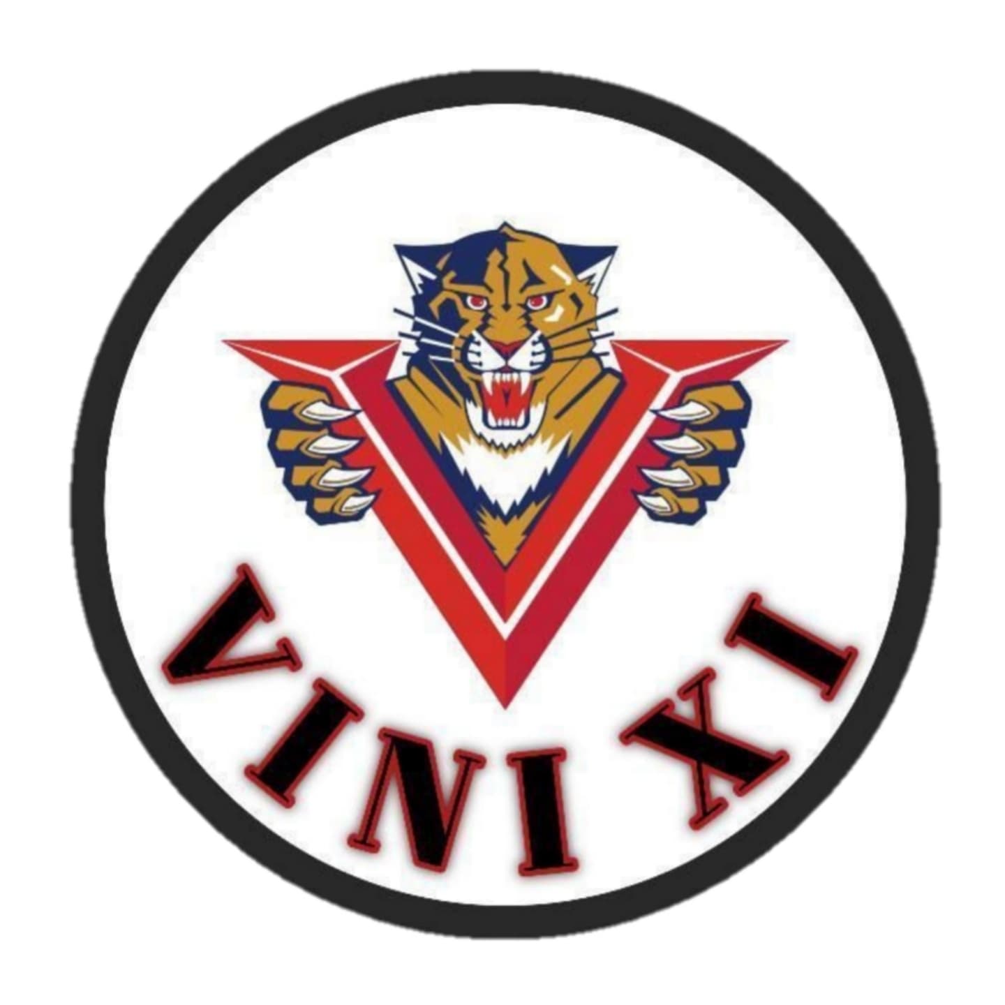 VINI XI