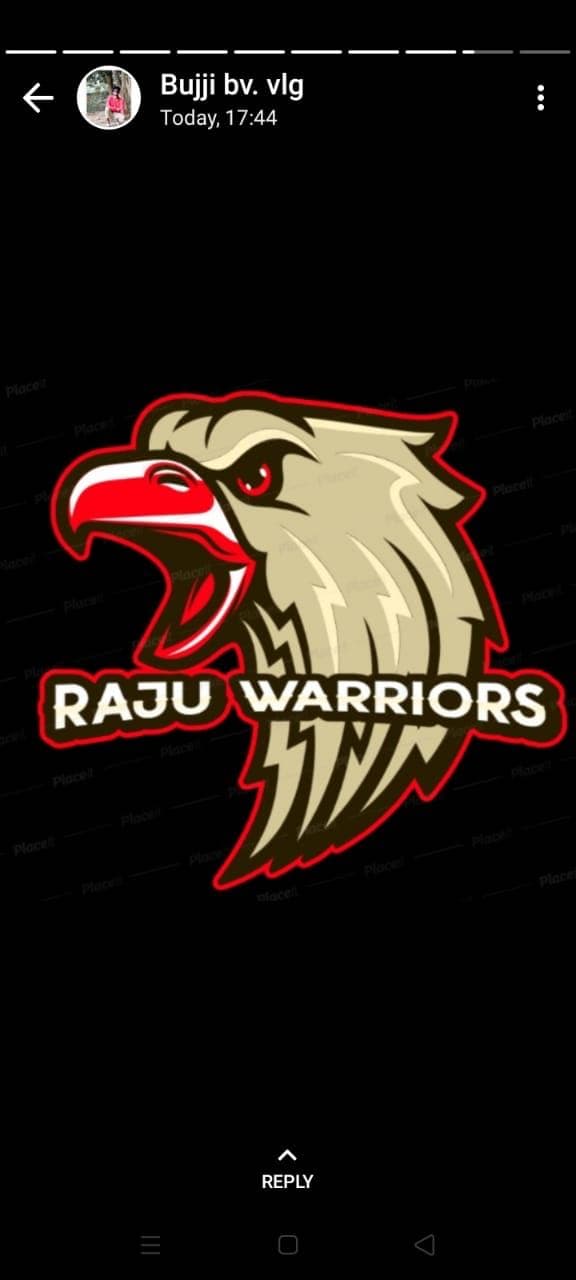 Raju Warriors team logo
