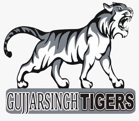 Tigers team logo