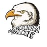 SARGODHA FALCON'S
