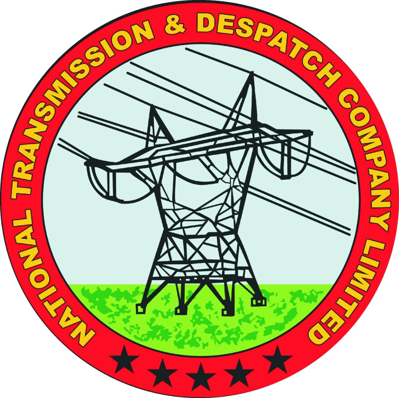 NTDC team logo