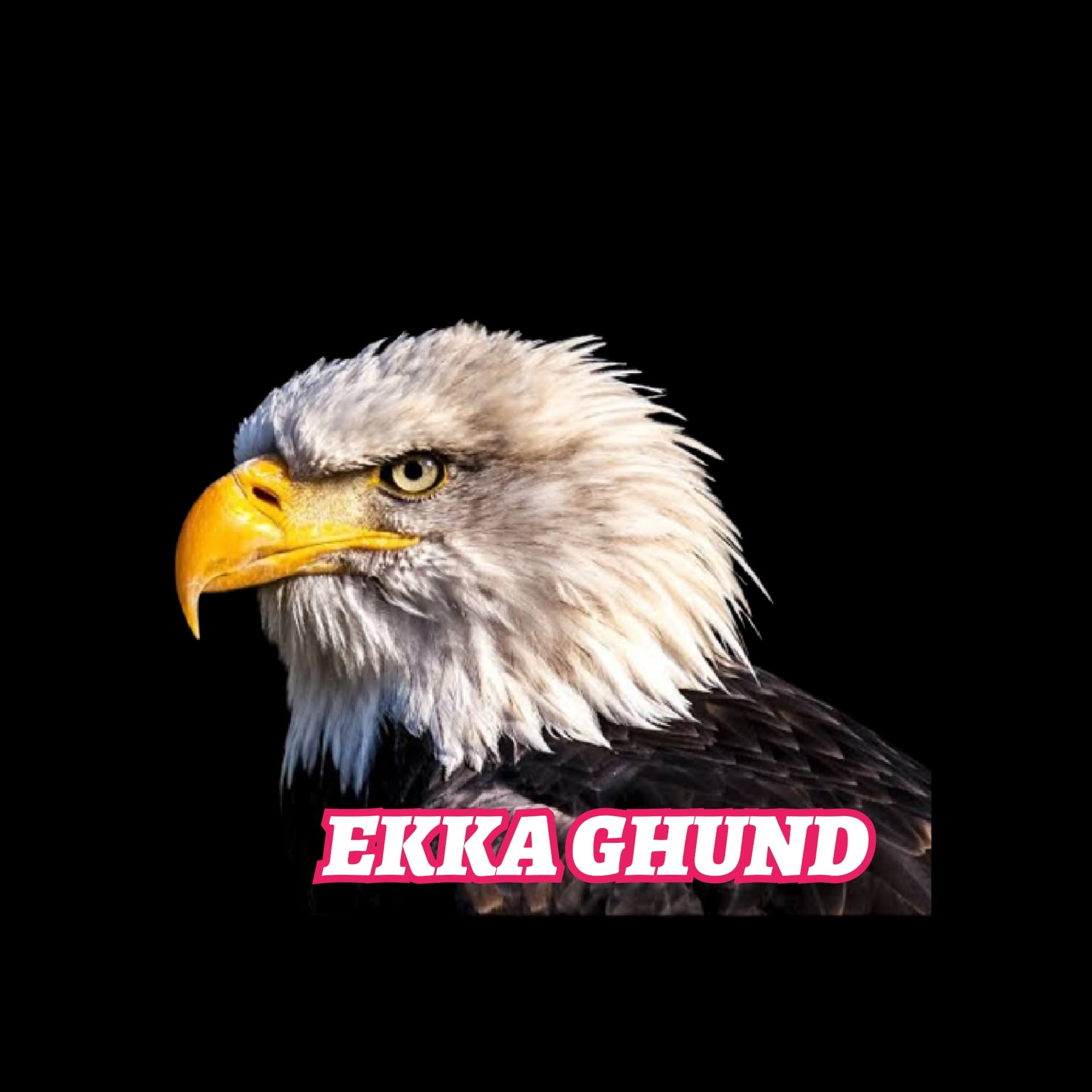 EKKA GHUND EAGLE