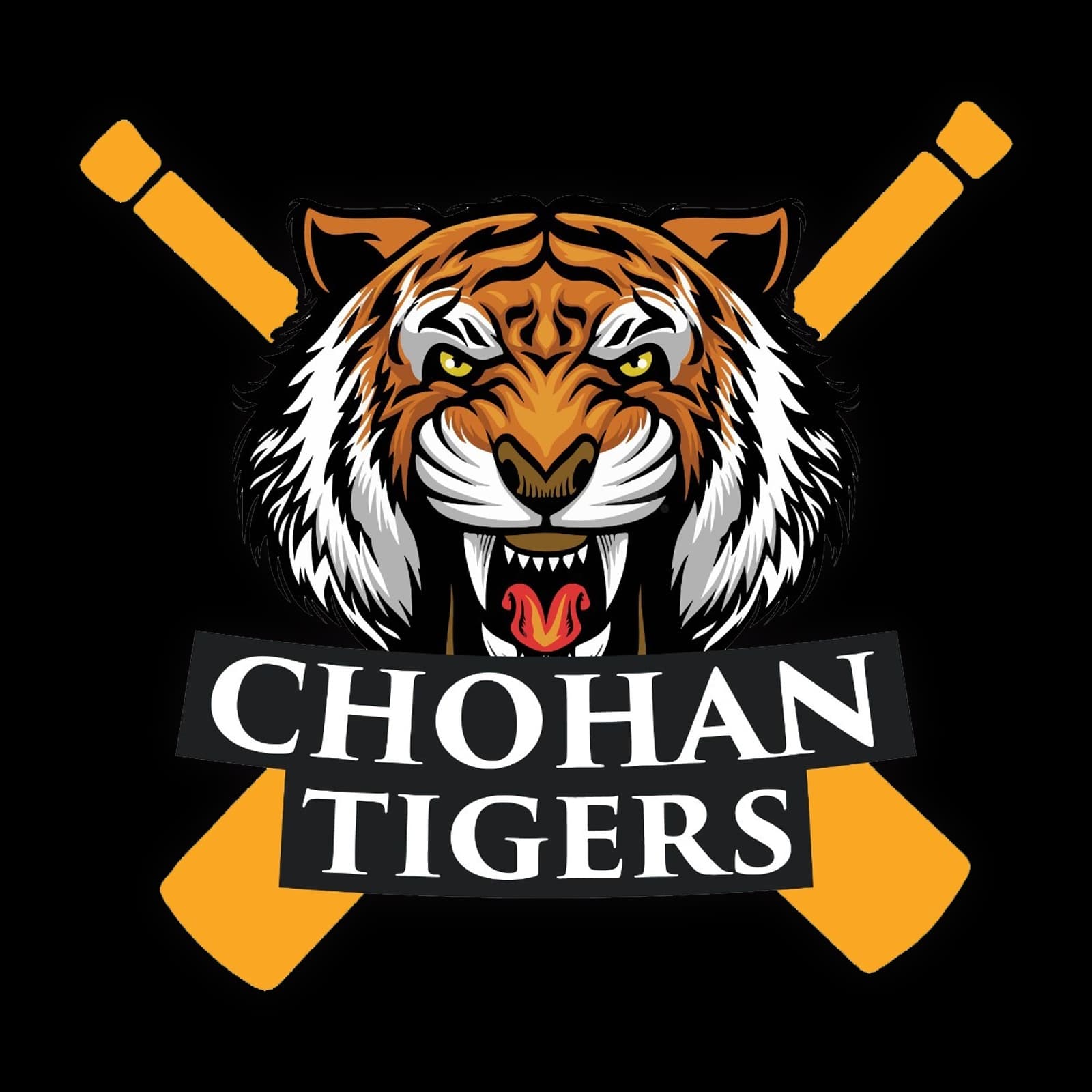 Chohan Tigers team logo