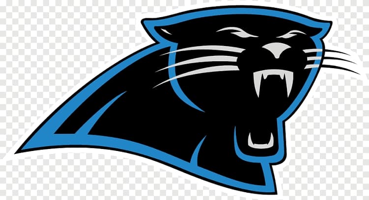 Cheetas team logo