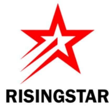 DPS Rising Star ⭐ team logo