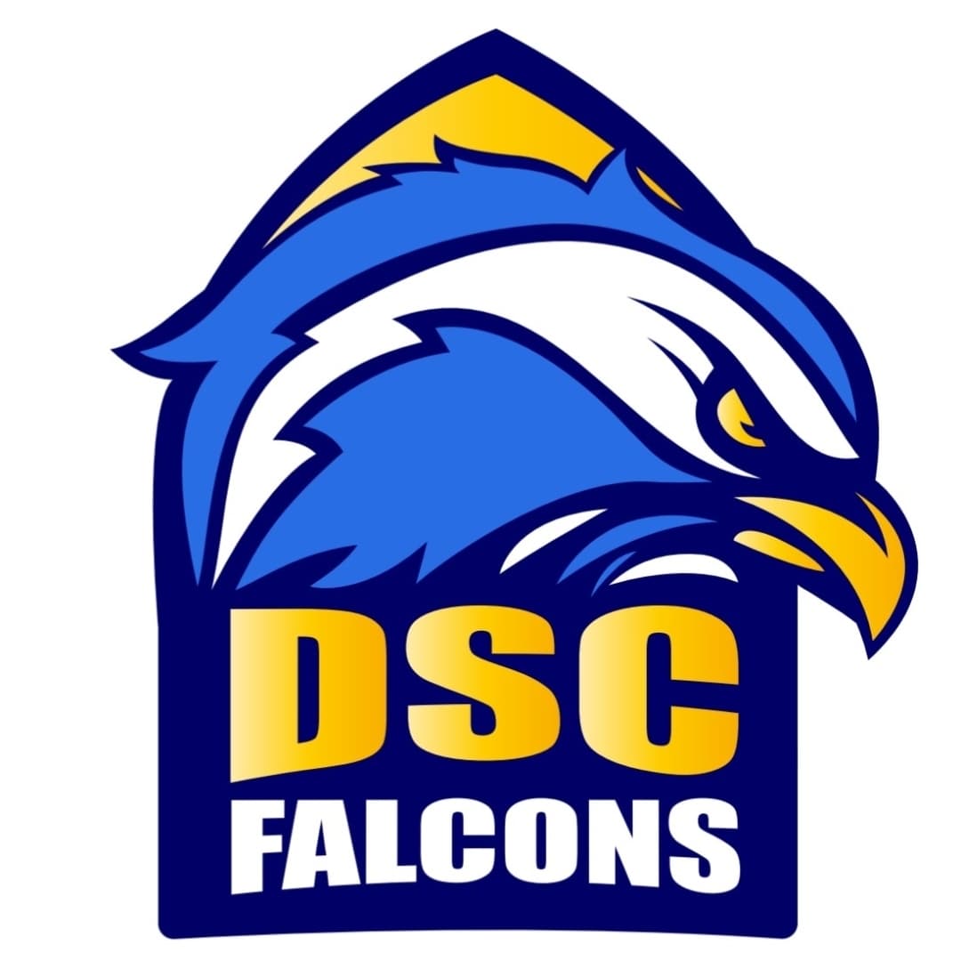 DSC FALCONS