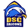 DSC FALCONS