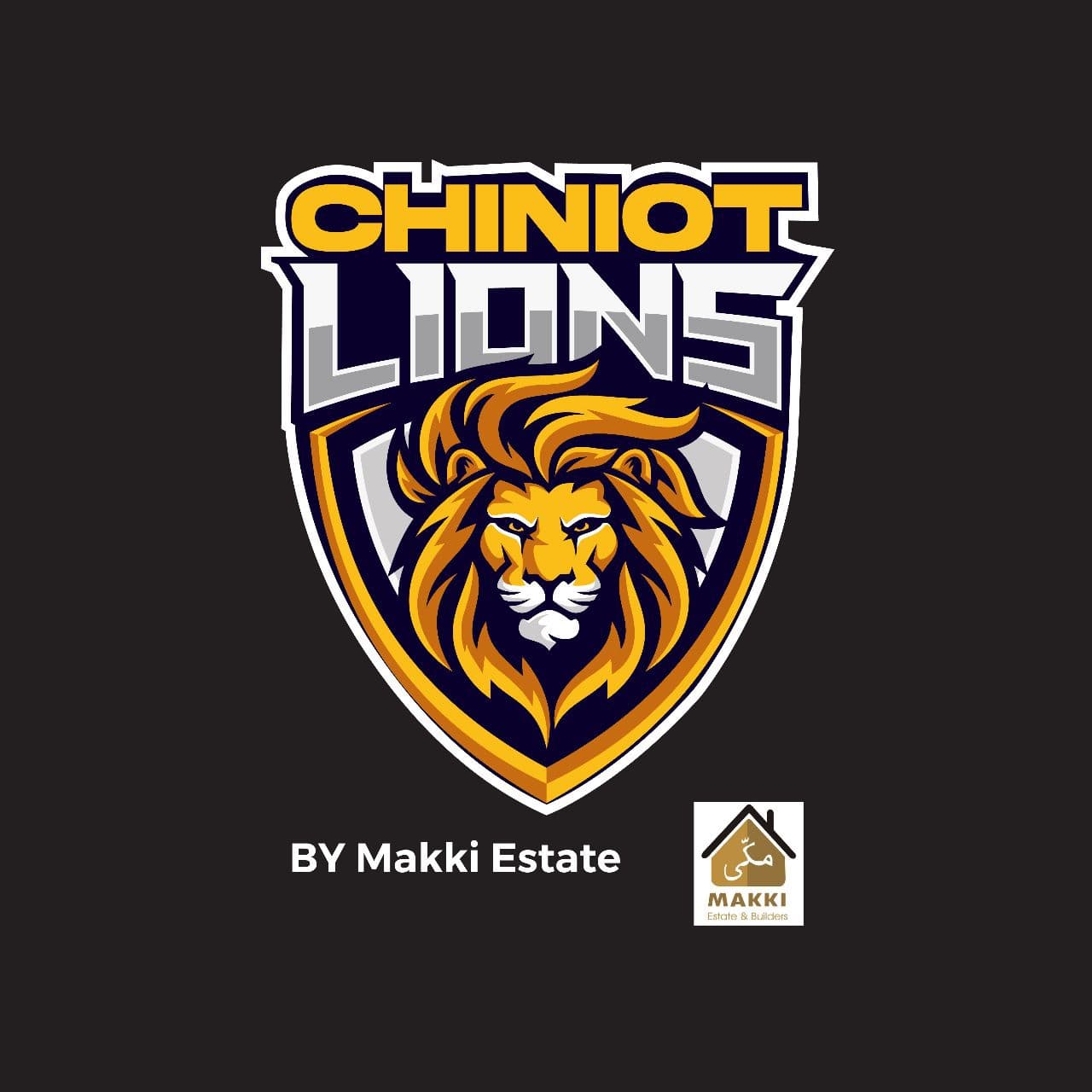 Chiniot Lions