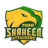 Shaheen Attackers