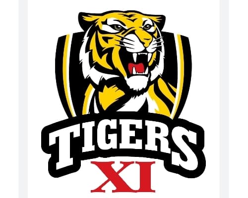 Tigers XI team logo