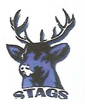 The Stags Cricket Club