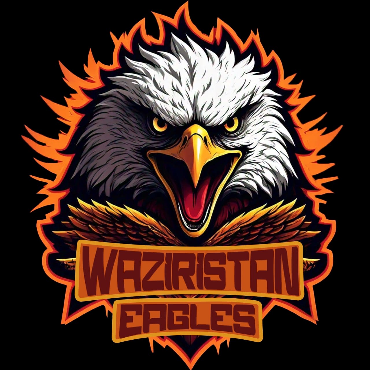 Waziristan Eagles