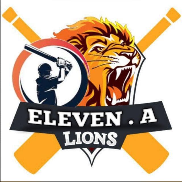 Eleven- A Lions team logo