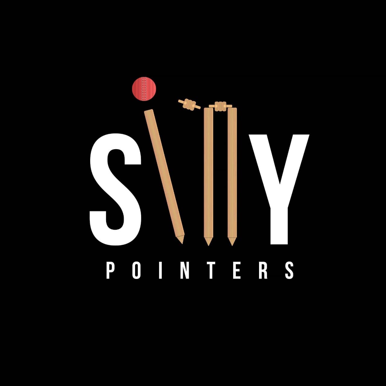 Silly Pointers