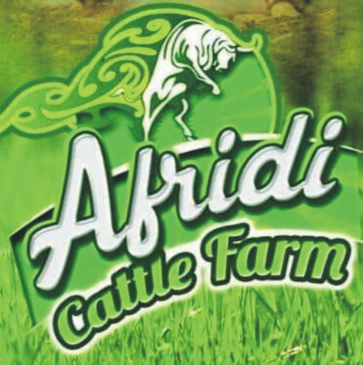 Afridi Cattle Farm team logo