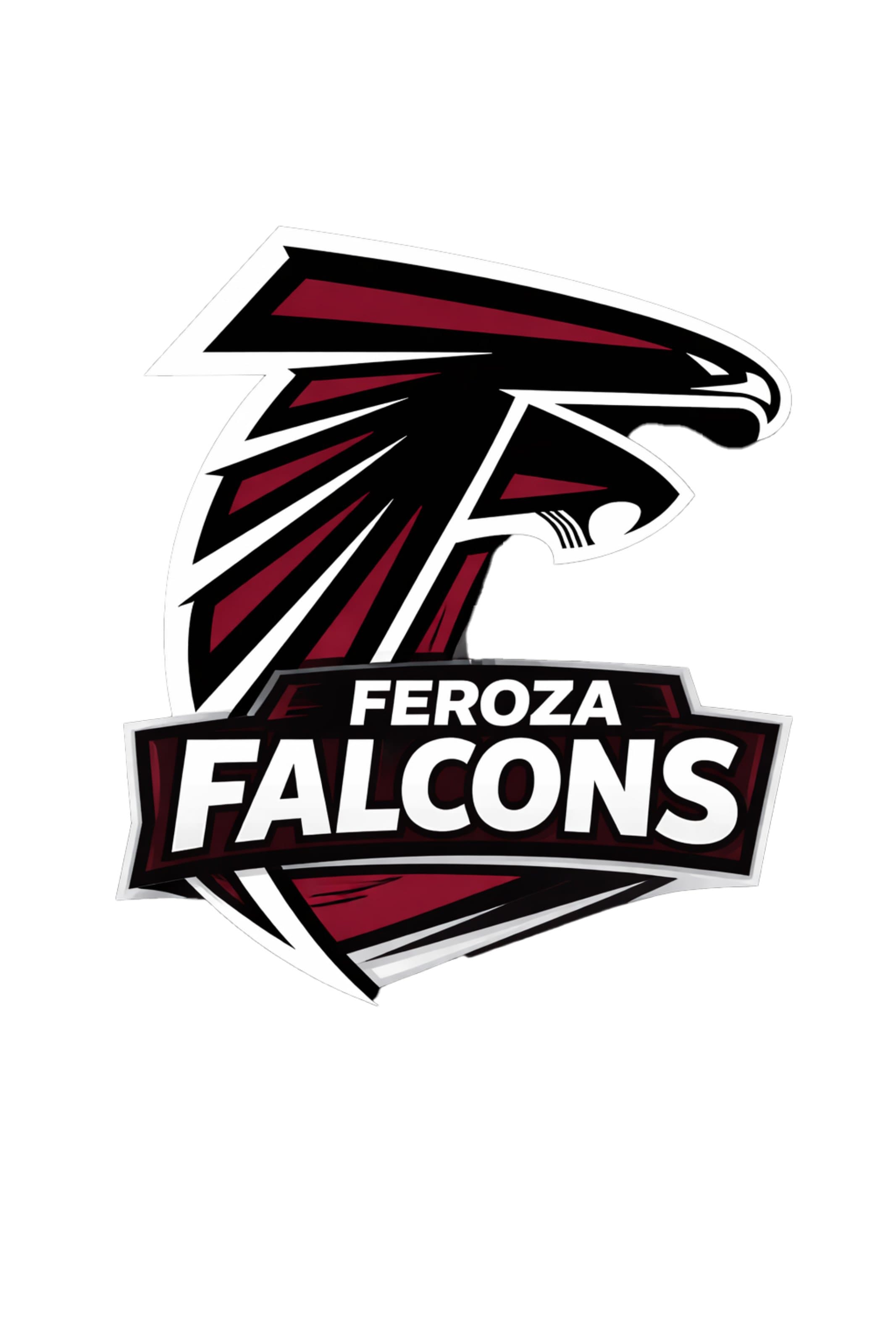 FEROZA FALCONS