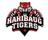HARIBAUG  TIGERS