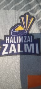 Halimzai zalmi team logo