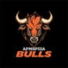 Apmspida Bulls