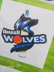 Ambar wolves team logo