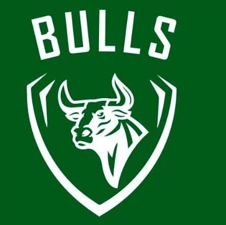 Atco Bulls team logo