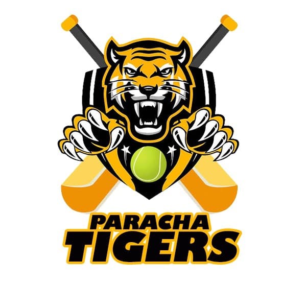 Tigers team logo
