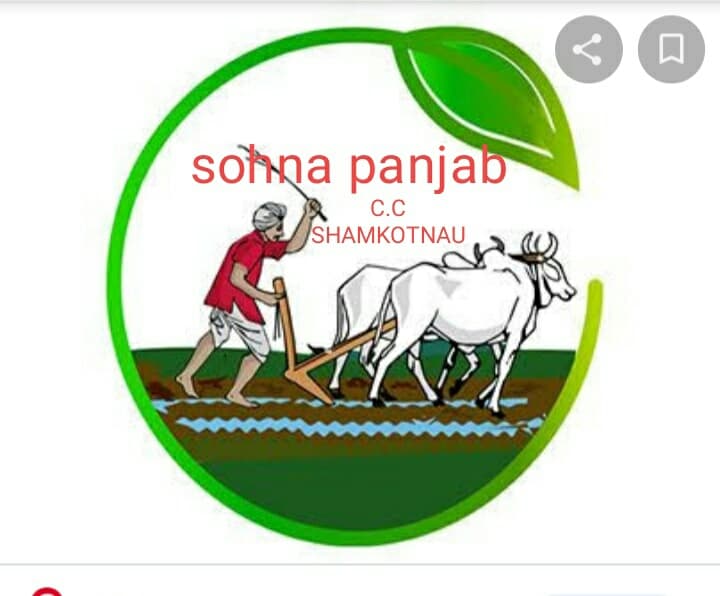 Sohna Punjab team logo