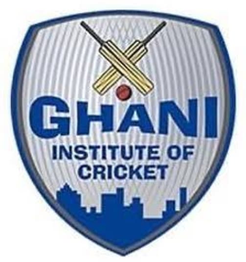 Ghani Institute Of Cricket team logo