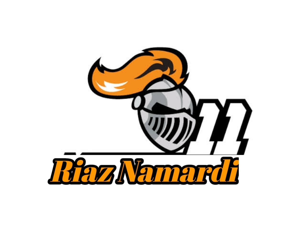 Riaz Namardi XI team logo