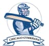 Chicago gymkhana