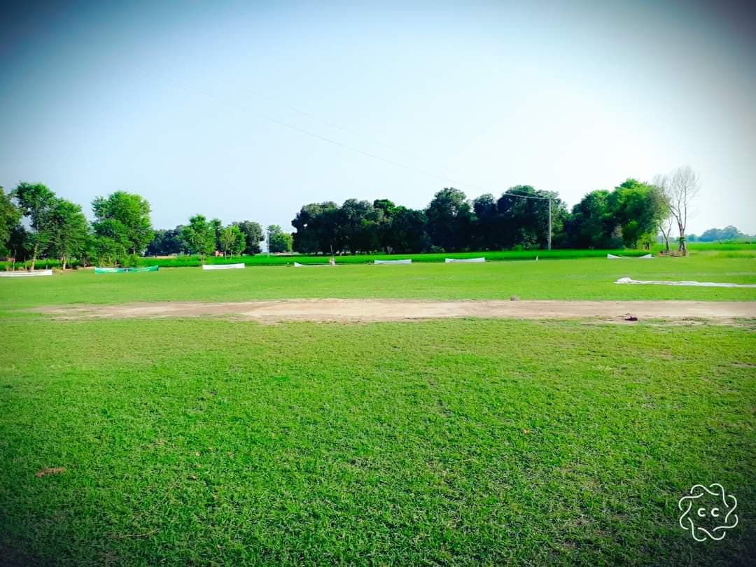 Sheroke Cricket Club team logo