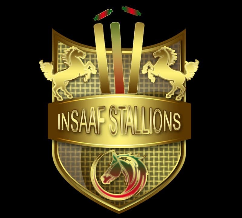 Insaf Stallions