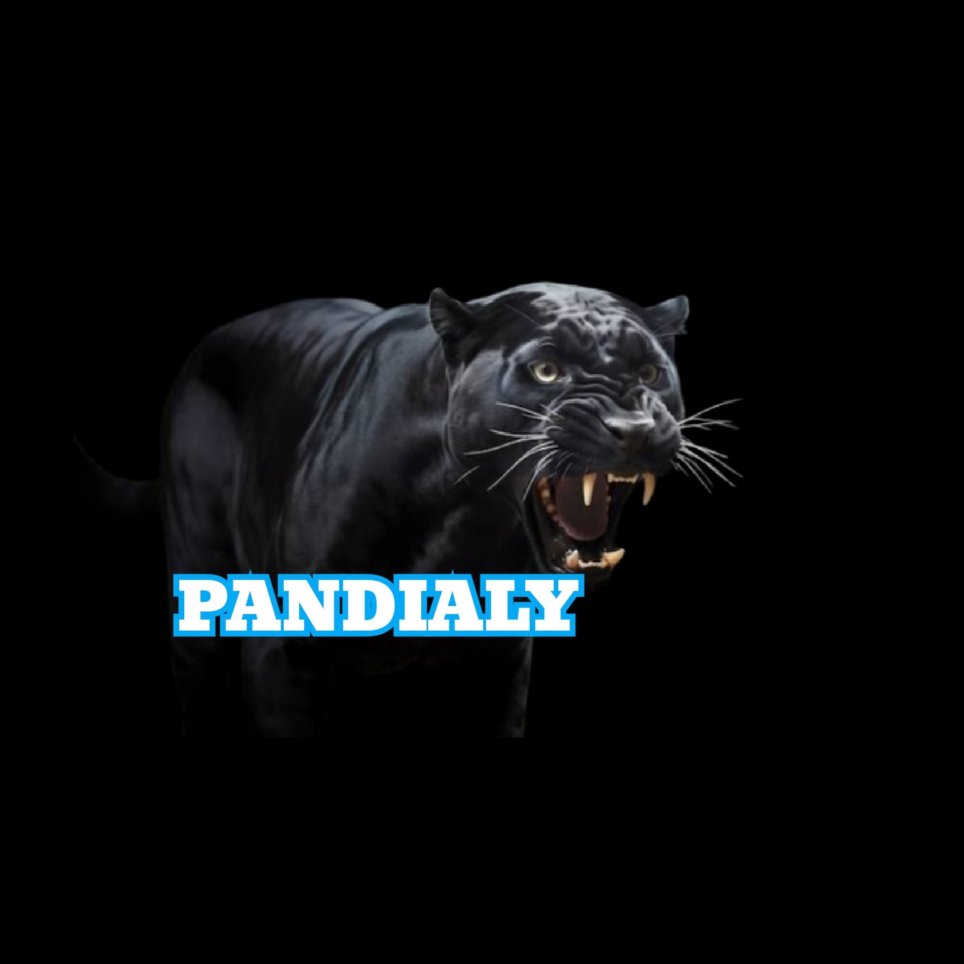 PANDIALY PANTHER